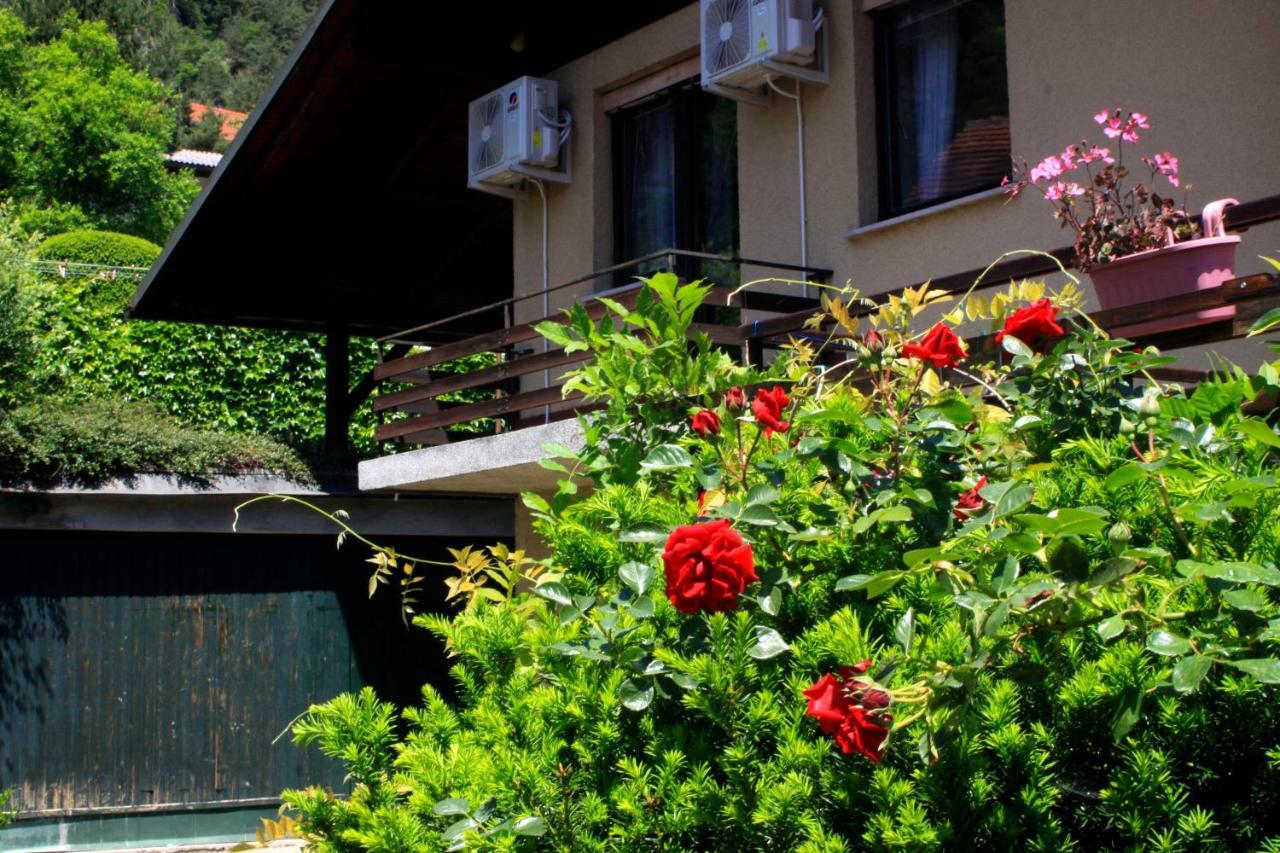 Na Kopitarjevi Hotel Lasko Ngoại thất bức ảnh